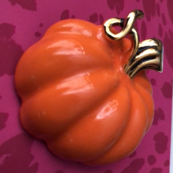 Pumpkin Brooch/Pendant - Picture 5 of 10